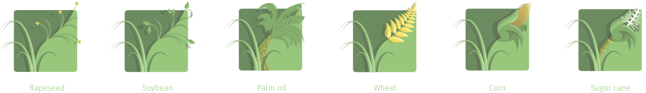 Those images are about biodiesel and ethanol.